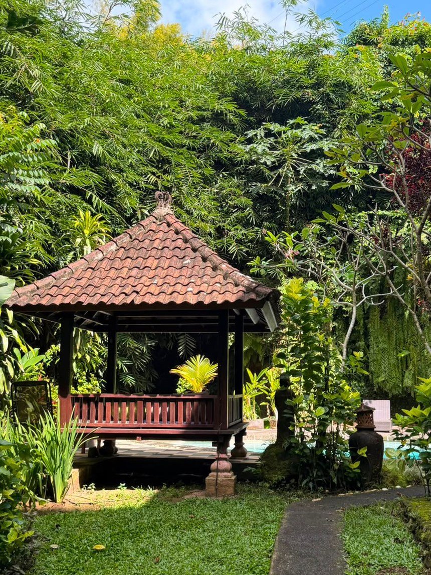 Gazebo balinés de madera entre bambúes junto a la piscina