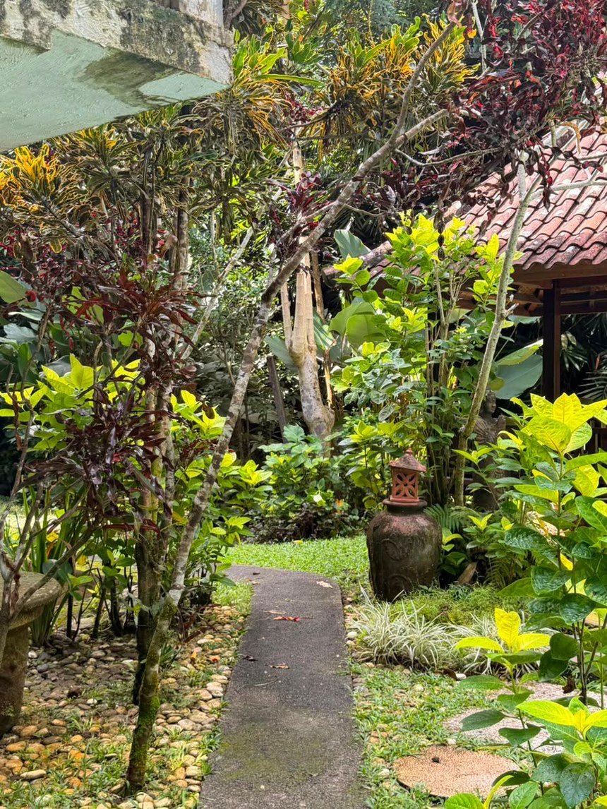 Sendero del jardín tropical con farol balinés